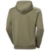  helly hansen Cotton Fleece Graphic Hoodie