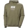  helly hansen Cotton Fleece Graphic Hoodie GREEN