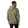  helly hansen Cotton Fleece Graphic Hoodie