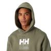  helly hansen Cotton Fleece Graphic Hoodie