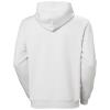  helly hansen Cotton Fleece Graphic Hoodie