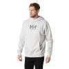  helly hansen Cotton Fleece Graphic Hoodie