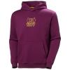  helly hansen Cotton Fleece Graphic Hoodie DARK MAGEN