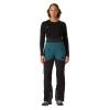  helly hansen W ODIN BC  SOFTSHELL BIB PANT Dark Creek