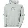  helly hansen Cotton Fleece Graphic Hoodie GREEN