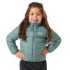  helly hansen K DALEN REVERSIBLE JACKET Green