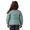  helly hansen K DALEN REVERSIBLE JACKET Green