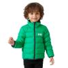  helly hansen K DALEN REVERSIBLE JACKET Green