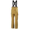 Hosen helly hansen VERGLAS BC BIB PANT Lynx