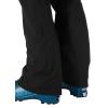 Hosen helly hansen VERGLAS BC BIB PANT Black