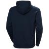  helly hansen Core Graphic Sweat Hoodie