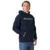  helly hansen Core Graphic Sweat Hoodie
