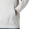  helly hansen Core Graphic Sweat Hoodie