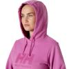  helly hansen Logo Hoodie 2.0