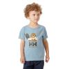 Camiseta helly hansen GRAPHIC T-SHIRT