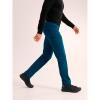  arc'teryx Gamma AR Pant