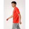 arc'teryx  Kragg SL Cotton Bird Word SS