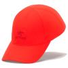  Arc'teryx Bird Word Cap Dynasty