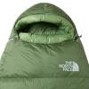  the north face GREEN KAZOO Forest Shade/Forest Sha