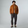  the north face Hydrenalite Down Jacket