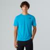  the north face M FOUNDATION MOUNTAINS FACES TEE Meridia