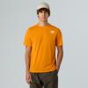 the north face  M MULTIPLE PLACEMENT SS TEE-GRAPHIC Mush