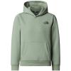  The North Face Teen Box Nse Regular Po Ho Slate Moss/Ne