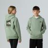  the north face TEEN BOX NSE REGULAR PO HO Slate Moss/Ne