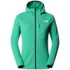  The North Face Summit Summit Futurefleece Fz Hoodie W