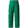 the north face summit  Cloud Down AMK Pant