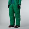 the north face summit  Cloud Down AMK Pant