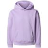  The North Face Essential Oversized Hoodie Teen