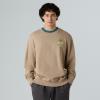  the north face M CONNECT RELAXED CREW SWEAT-GRAPHI Mush