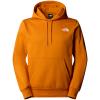  the north face Simple Dome Hoodie BRO
