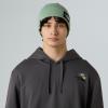  the north face DOCK WORKER RECYCLED BEANIE Slate Moss