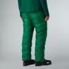 the north face summit  M SUMMIT CLOUD DOWN AMK LT PANT Cordille