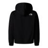  the north face Essential Oversized Hoodie Teen
