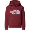 the north face  TEEN DREW PEAK PO HO TNF Light Grey Heat 0VO