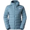 the north face  Abseil Stretch Down Hoodie W 426