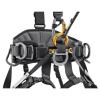  petzl Avao International Version