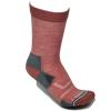  Lorpen Merino Hike Light Crew