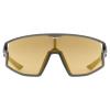 Gafas uvex Skyryse S3