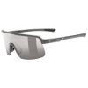 Gafas uvex Dyrt S3
