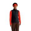  arc'teryx Cerium Vest W