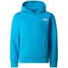  the north face TEEN BOX NSE REGULAR PO HO Slate Moss/Ne D7R
