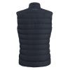  arc'teryx Cerium Vest