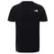 Camiseta the north face Graphic Tee Youth