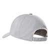  the north face Recycled 66 Classic Hat