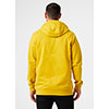  helly hansen HH BOX HOODIE Antique Moss