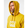  helly hansen HH BOX HOODIE Antique Moss